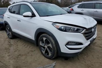 1.6 benzyna turbo 175KM 4X4 wersja LIMITED , mała szkoda