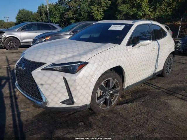lexus