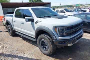 Raptor